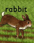 Кролик - трейлер и описание.