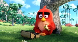 Смотреть фото Angry Birds в кино.