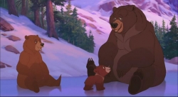 Смотреть фото Братец медвежонок 2: Лоси в бегах.