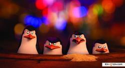 Смотреть фото Пингвины Мадагаскара.