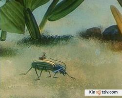 Смотреть фото Путешествие муравья.